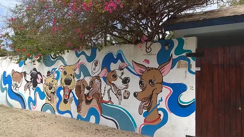 Costa Maya Hotel Canino