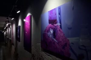 Coyotito Beds Coyoac&aacute;n | Confort y flexibilidad