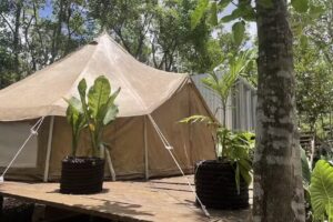 Cozumel Glamping