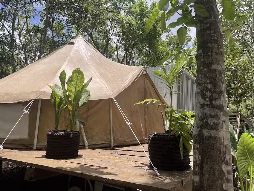 Cozumel Glamping