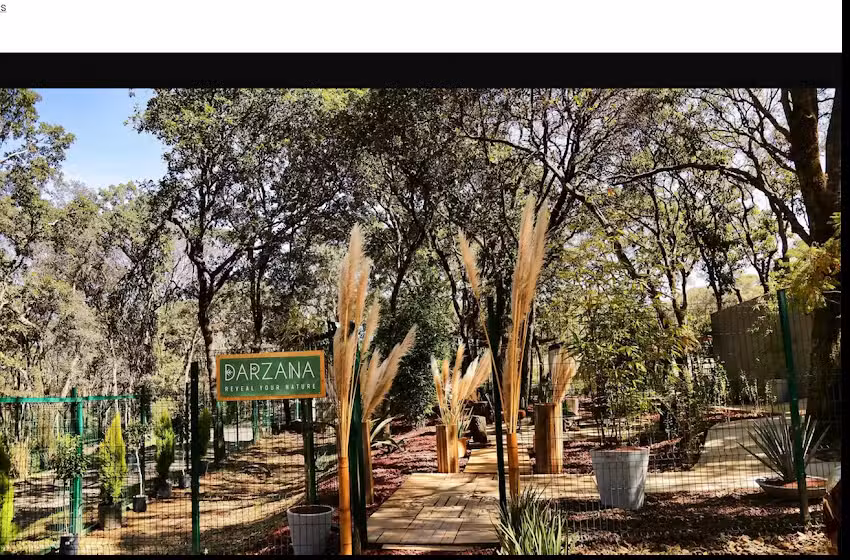 Darzana