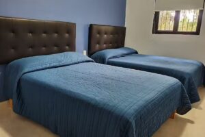 Departamentos “Agave Azul”