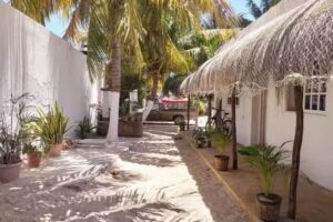 Departametos Flamingos