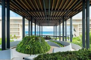 Devossion By Live Aqua Playa del Carmen