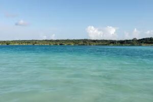 Eco-camping &ldquo;Las torcacitas&rdquo;