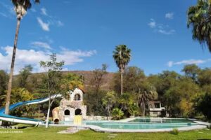 Ecotur&iacute;stico Los Sauces