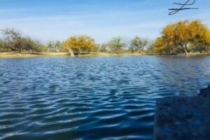 EJIDO SANTIAGO Y PASO DE LA MORITA