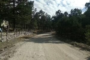 El Baj&iacute;o de las Flores,Municipio de Ocampo,Durango
