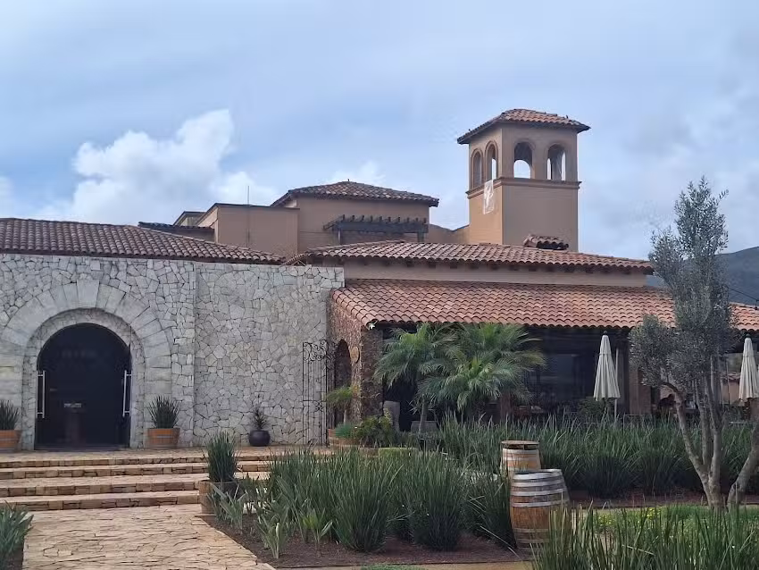 El Cielo Bodega Vin&iacute;cola