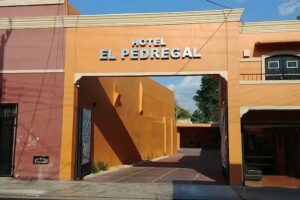 EL PEDREGAL