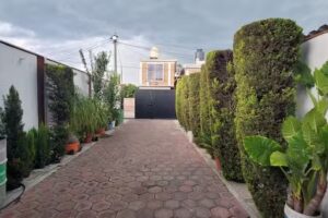 El Rinc&oacute;n de los Abuelos