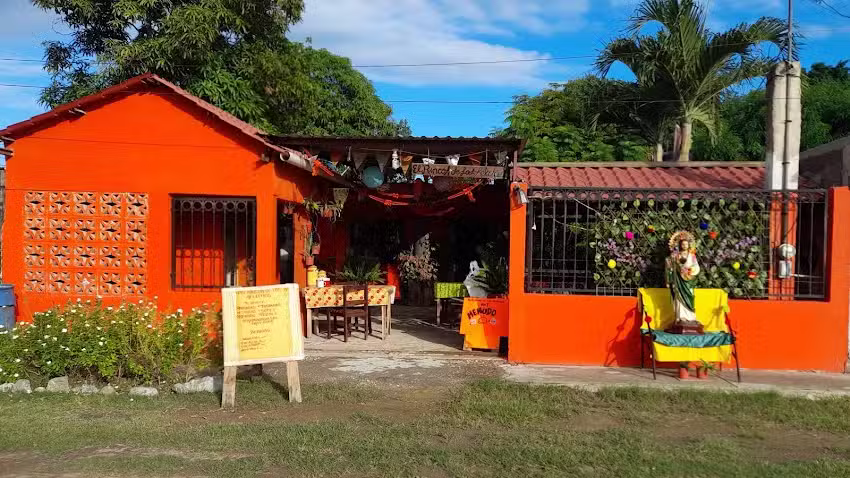 🪴El Rinc&oacute;n De Los Helechos🪴