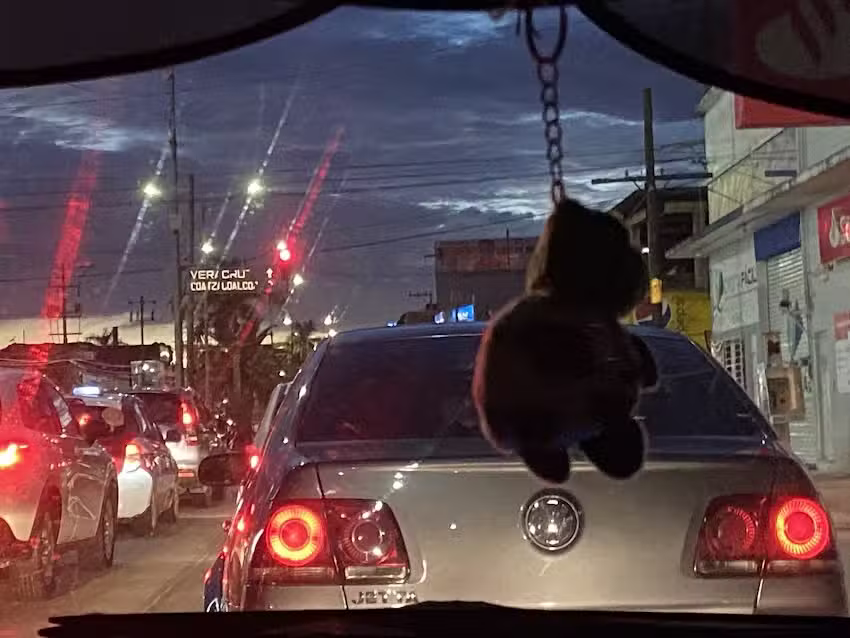 El trafico del gogotal