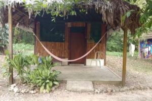 Elementos Naturales Palenque