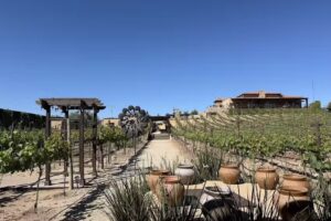 Emmalu Hotel Boutique