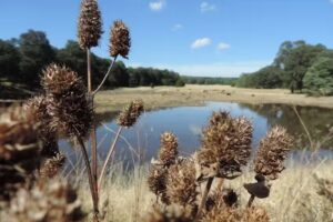 Estaci&oacute;n Piedra Herrada