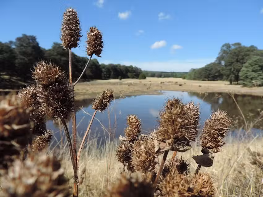 Estaci&oacute;n Piedra Herrada