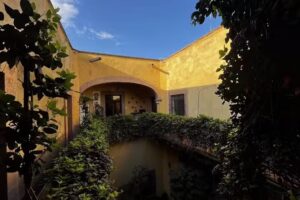 Estancias Grupo Fuentes Queretaro &ndash; Panchito Lele Lavanda