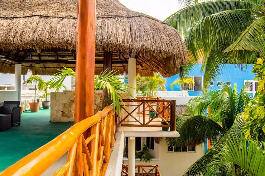 Estudios Selva y Mar