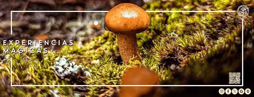 Experiencias M&aacute;gicas Huautla