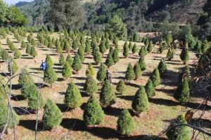 Finca Ecoturistica &ldquo;Piedra del Sol&rdquo;