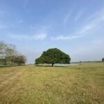 Finca Santa Luc&iacute;a