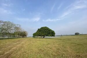 Finca Santa Luc&iacute;a