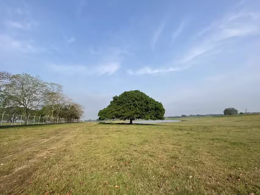 Finca Santa Luc&iacute;a