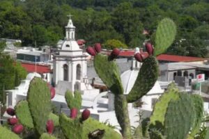 Galeana Nuevo Le&oacute;n