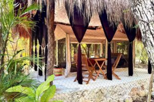 Glamping Bunga Lotus