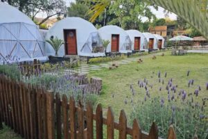 Glamping Valle