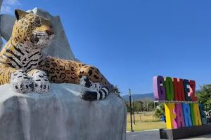 GOMEZ FARIAS RESERVA DE LA BIOSFERA EL CIELO TAMAULIPAS