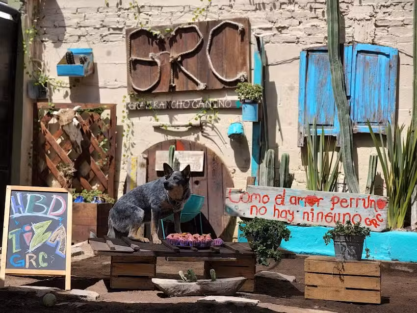 GRAN RANCHO CANINO HOTEL CAMPESTRE