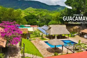 Guacamayas Campestre