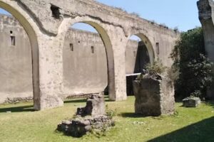 Hacienda De San Diego Pinar