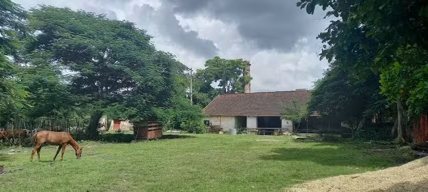 Hacienda Doctores