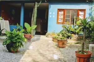 Hospedaje Casa Amalia Tepoztl&aacute;n