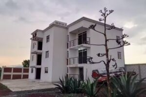 Hospedaje “Los Agaves”