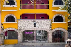 Hostal CASA MX quinta avenida PDC