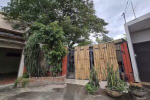 Hostal La Casa del Arbol Xochimilco