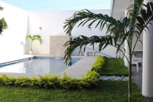 Hostal los Alebrijes MTY