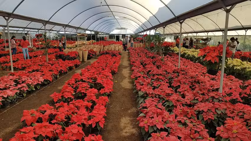 Hostal Rural La Huerta