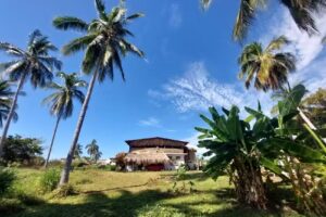 Hostal Tropical Roca Blanca