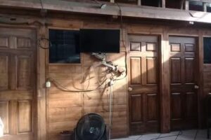 Hostal villa de pozos