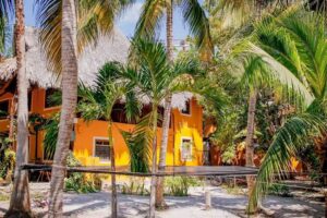 Hostel Tribu