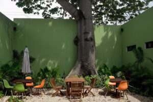 Hostik Hostel M&eacute;rida Centro