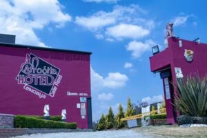 Hotel Afrodita Calle Real