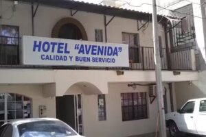Hotel Avenida