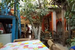 Hotel Barrancas De Urique