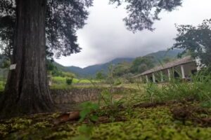 hotel boutique tui-tui